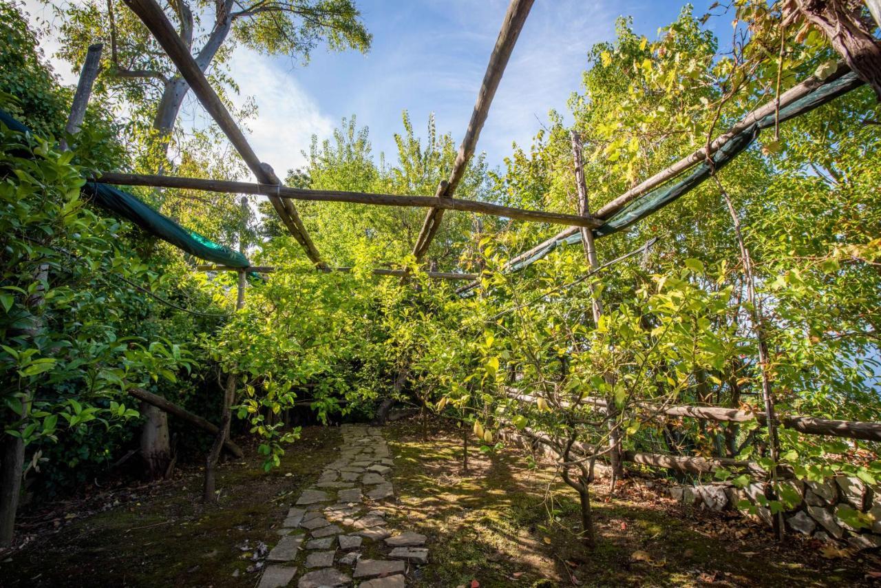 Casa Angelica Villa Sorrento Exteriör bild